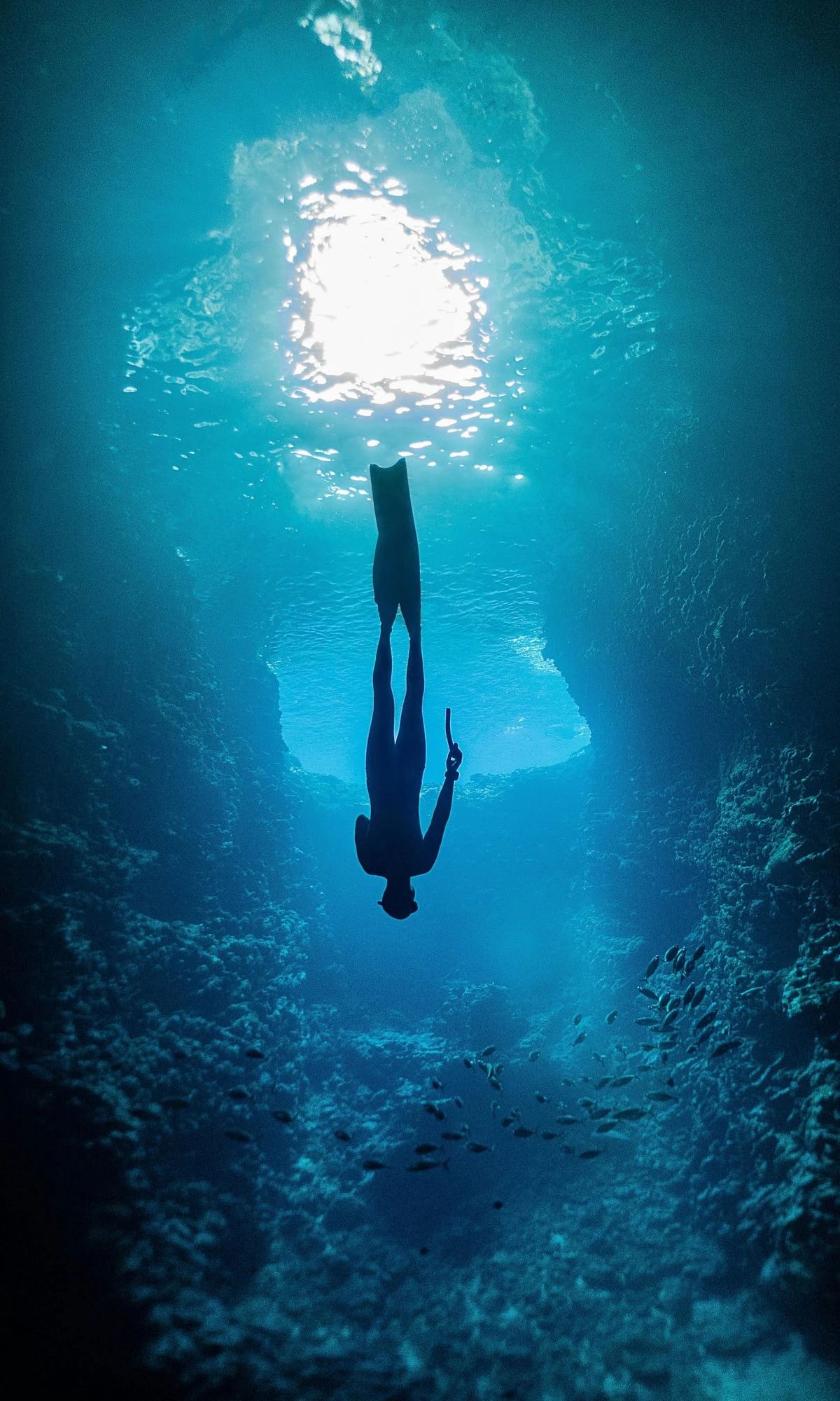 Blue Lagoon Reef Snorkelling Tour