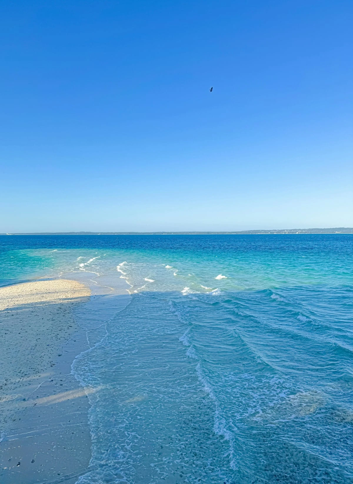 Nakupenda Sandbank Sailing Experience