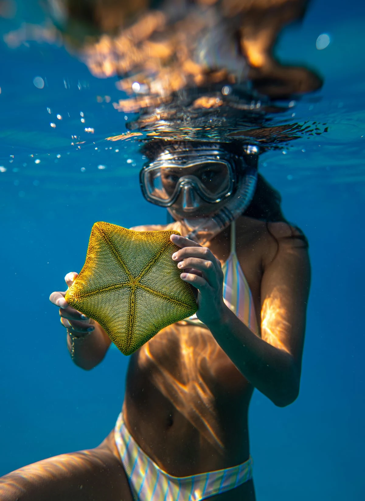 Mnemba Island Coral Reef Snorkeling Adventure